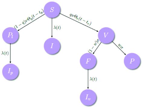 Schematic representation of the epidemiological model representing its... | Download Scientific ...