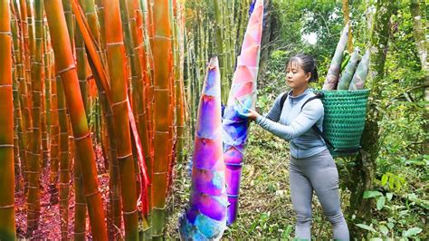 Harvesting A Lot Of Bamboo Shoot Goes To Market Sell Pickled Garlic