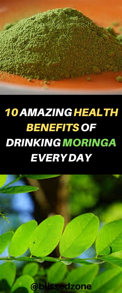 Benefits Of Moringa Seeds Tea Health Benefits Moringa Tree Moringa