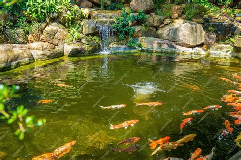 Premium Photo Japanese Garden Waterfalls Lush Green Tropical Koi Pond