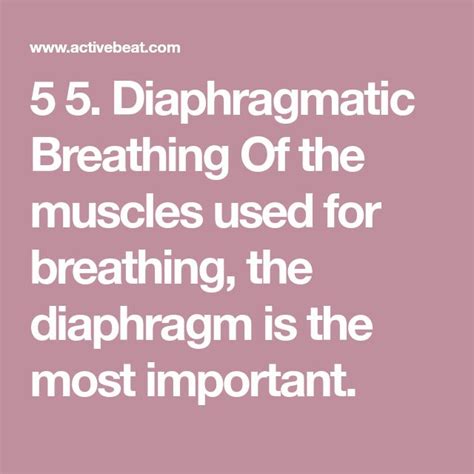 5 5 Diaphragmatic Breathing Of The Muscles Used For Breathing The