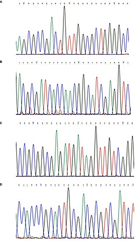 Representative Examples Of The Dna Sequencing Chromatograms Notes