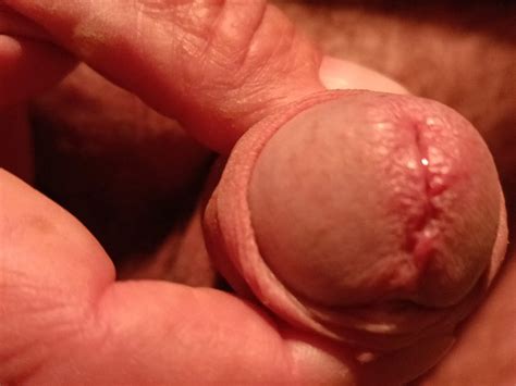 Asi Mienza A Empinarse Nude Pics XHamster