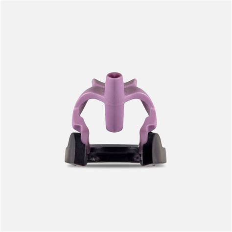Night Quill Violet Reign – Alfreshco