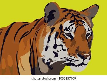 Bengal Tiger Vector Art Stock Vector (Royalty Free) 1053157709 ...