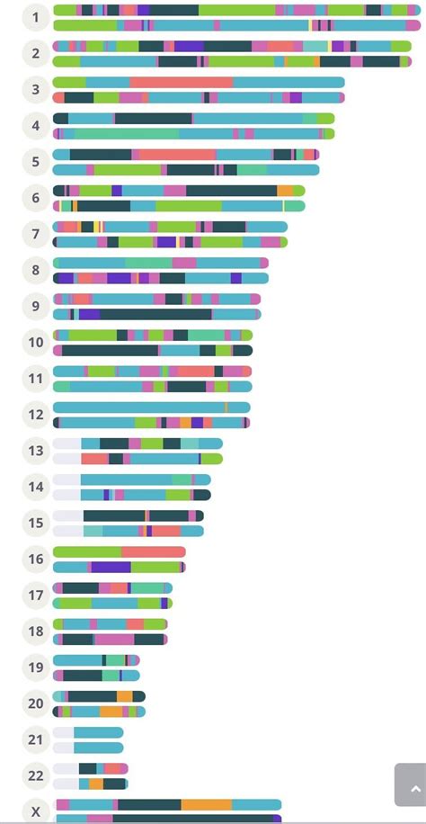 Chromosome painting : r/23andme