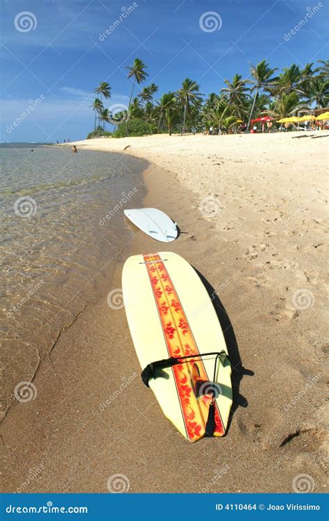 Surfboards On The Beach Stock Photo Image Of Surfboard 4110464