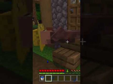 Villager Fell Asleep On The Front Steps Youtube