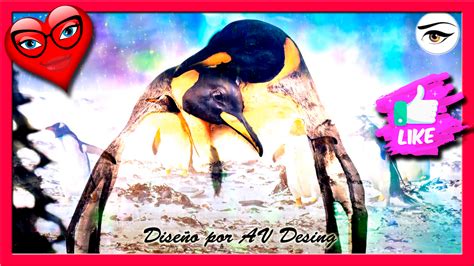 PINGUINOS ARTE DISEÑO GRAFICO PHOTOSHOP COS TV LATAM DIVERSION