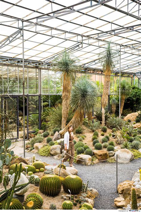 Botanist Activity Space Is A Cafe In Bangkok With Cacti In A Glasshouse