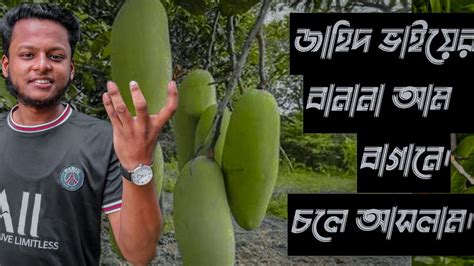 jahid vaizer banana  baganeguimara khagdachdi raihan rumman youtube