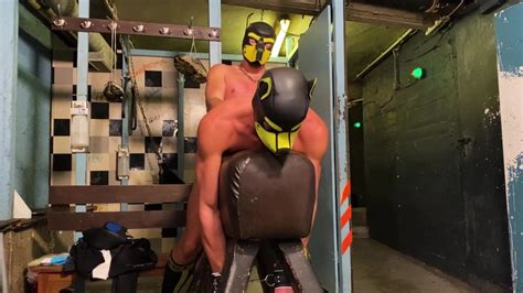 Two Horny Puppies Fucking At The Basement German Gay Amateur Porn