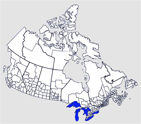 Census Divisions Of Canada Openclipart