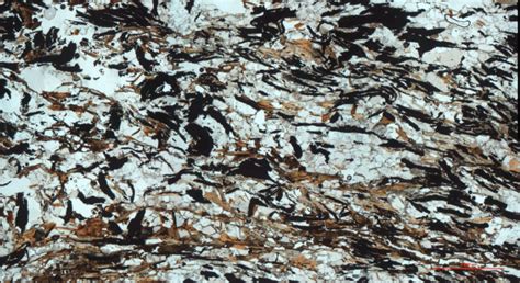 7 Thin Section Photo Of Graphite Schist From Hesten Sample Hg39 16