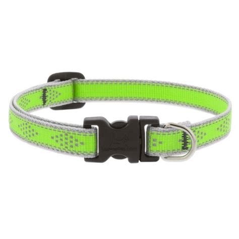 Collar Para Perro Con Broche GREEN DIAMOND Busmark