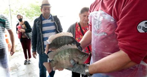 Feira Do Peixe Vivo Saiba Onde E Quando Acontece Evento Em Joinville