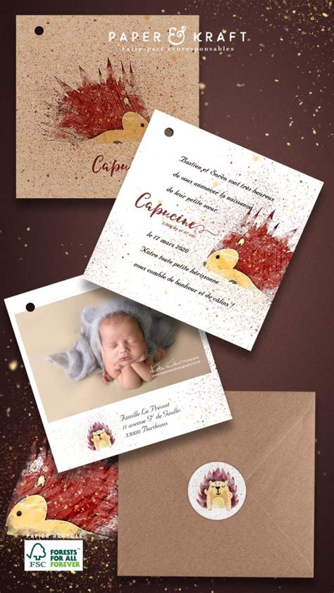 Faire Part Naissance Fille Ou Garcon Herisson Paperandkraft