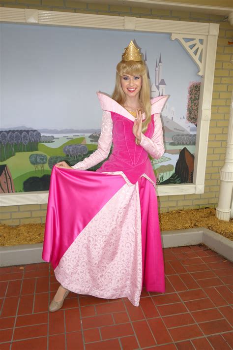 How To Meet Every Disney World Princess