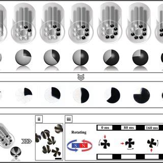 a) Schematic illustration of the fabrication process of anisotropic ...