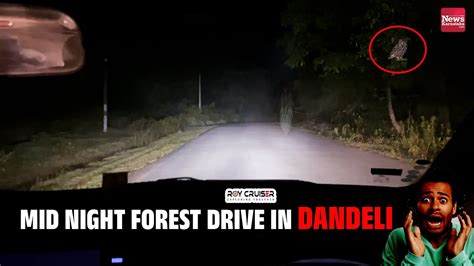 Mid Night Forest Drive In Dandeli RoyCruiser DANDELI Night News