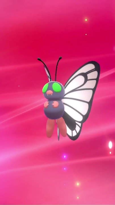 Shiny Metapod Butterfree Evolution Pokémon Sword And Shield Youtube