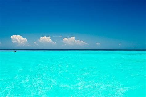 17 Best images about Bahamas Cat Island on Pinterest | The bahamas ...