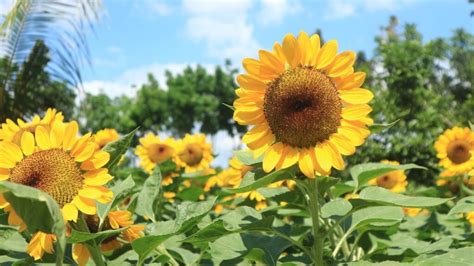 12 Most Stunning Locations In Quezon Province International Viewpoint