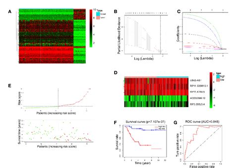 Figure From Lncrna Lbx As Impacts Osteosarcoma Sensitivity To Jq