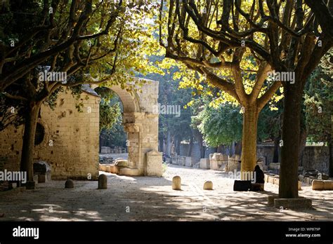 Alyscamps Arles Hi Res Stock Photography And Images Alamy