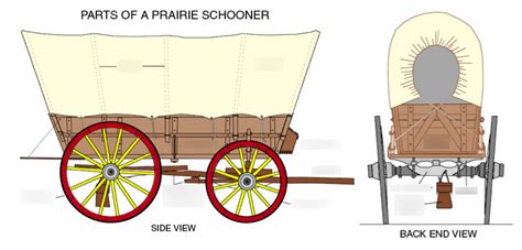 Parts of the Wagon Diagram | Quizlet