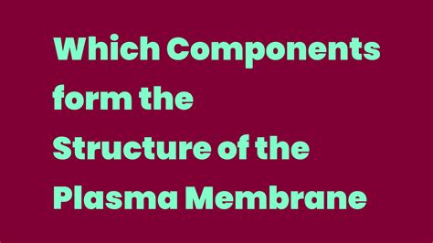 Which Components form the Structure of the Plasma Membrane - Write A Topic