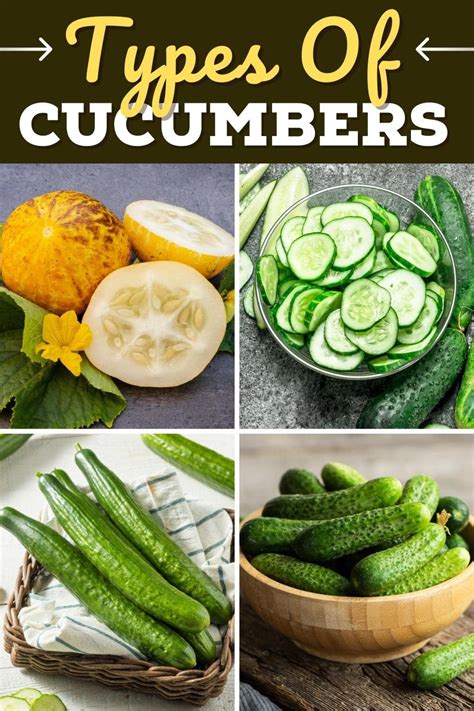 10 Different Types of Cucumbers - Insanely Good