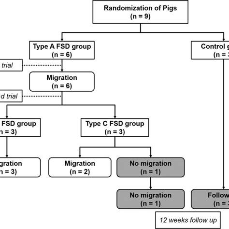 Flow diagram showing the steps of FSD placement. FSD, full sense device ...