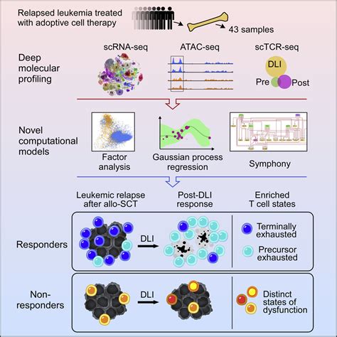 Mapping The Evolution Of T Cell States During Response And Resistance