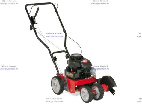 Подрезчик края газона бензиновый MTD 550 G (25A-550G678) - цены, купить ...