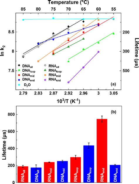 Temperature Dependence Of The Lifetimes Of Refolding Derived