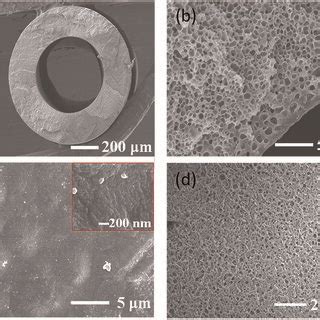 A Cross Sectional Morphology Of Polyamide Hollow Fibre Membrane For