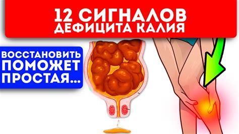 12 сигналов того, что в организме закончился калий+ продукты, богатые ...
