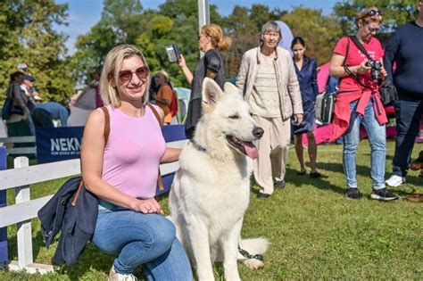 Pas Kao Ovjekov Najbolji Prijatelj To Je Ljubav Kakva Se Ne Dobiva