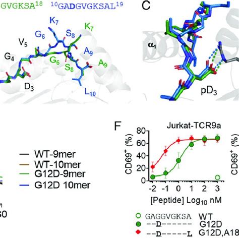 Kras G12d Specific Tcrs Display High Affinities That Inversely