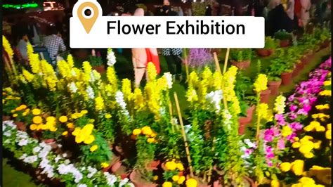 Flower Exhibition In Bahawalpur Flower Display YouTube