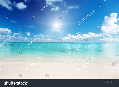 Sand Caribbean Sea Stock Photo 50120443 | Shutterstock