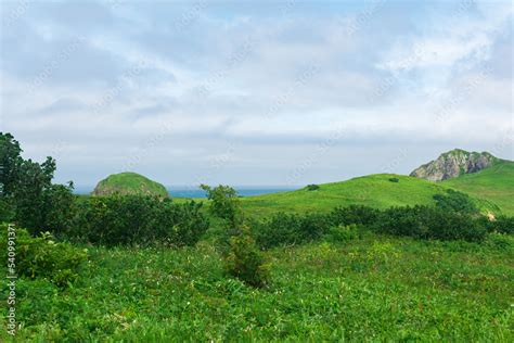 natural landscape of Kunashir island with grassy hills, volcanic rocks ...