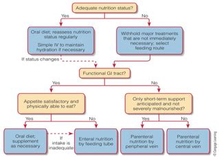 Ch Enteral And Parenteral Nutrition Flashcards Quizlet