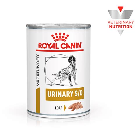 Buy Royal Canin Veterinary Urinary So Wet Dog Food Cans Online | Better ...