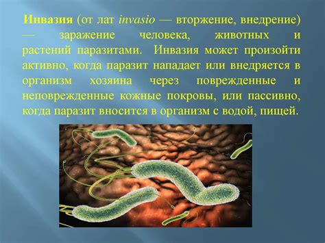 Инвазия. Формы инвазии - презентация онлайн