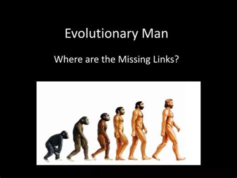 Ppt Evolutionary Man Powerpoint Presentation Free Download Id 2538211