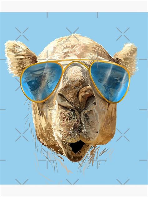 Camel With Sunglasses Poster By Sibosssr Redbubble