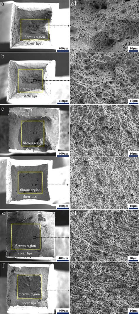 Fracture Surface Morphologies Of The Samples At Different States A