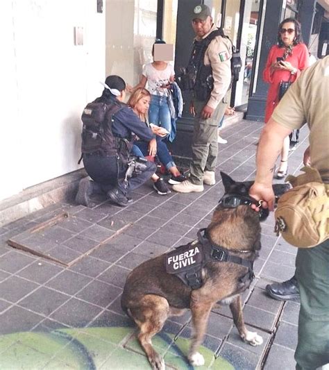 AGENTE CANINO MORDIÓ A MUJER EN EL CENTRO DE XALAPA Fue Llevada a